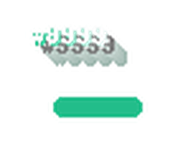 w9999 logo